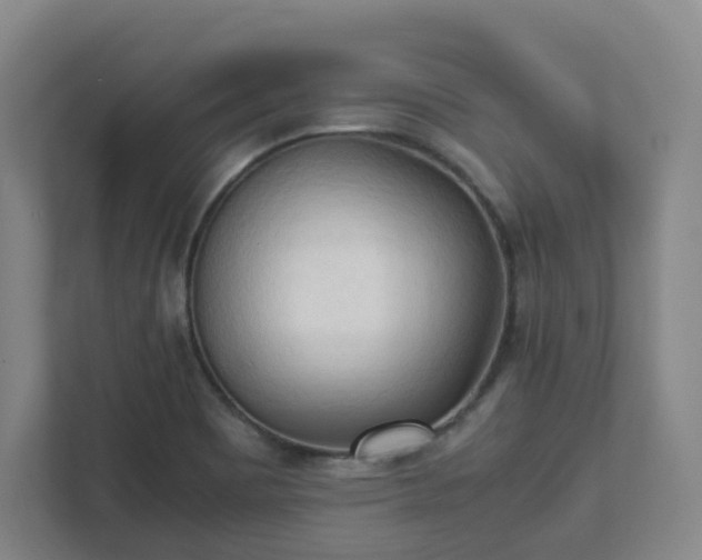 X0000111951465200908031148