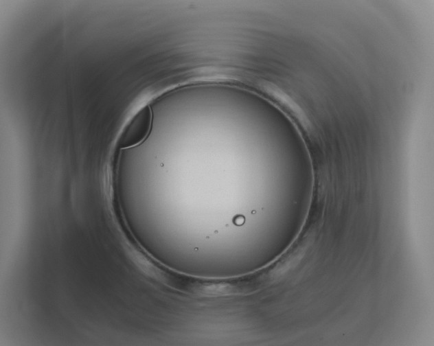 X0000111951467200908031148