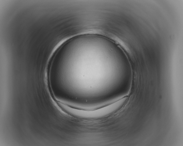 X0000111951468200908031148
