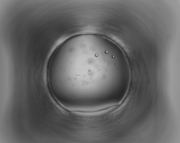 X0000111951469200908031148