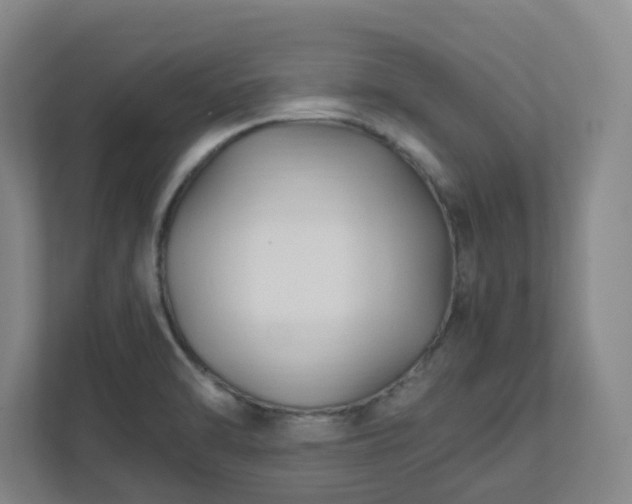 X0000111951470200908031148