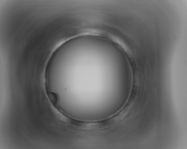 X0000111951471200908031148