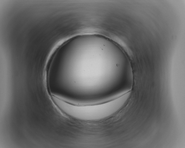 X0000111951472200908031148