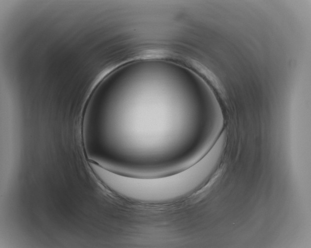 X0000111951473200908031148