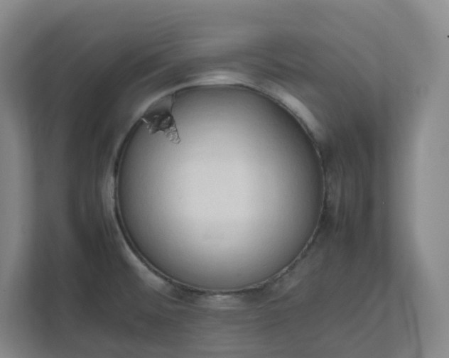 X0000111951476200908031148
