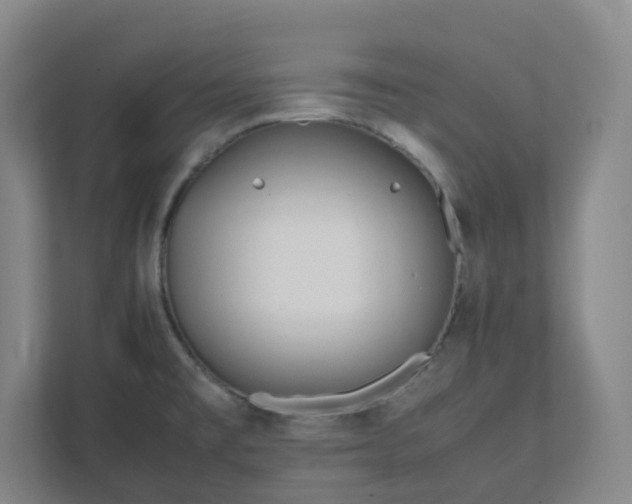 X0000111951477200908031148