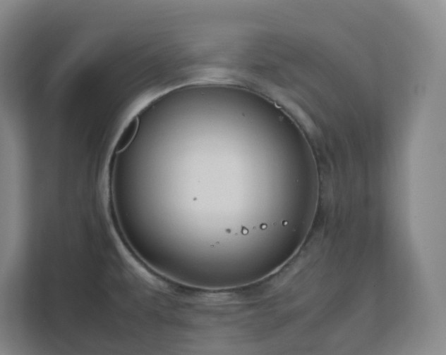 X0000111951479200908031148
