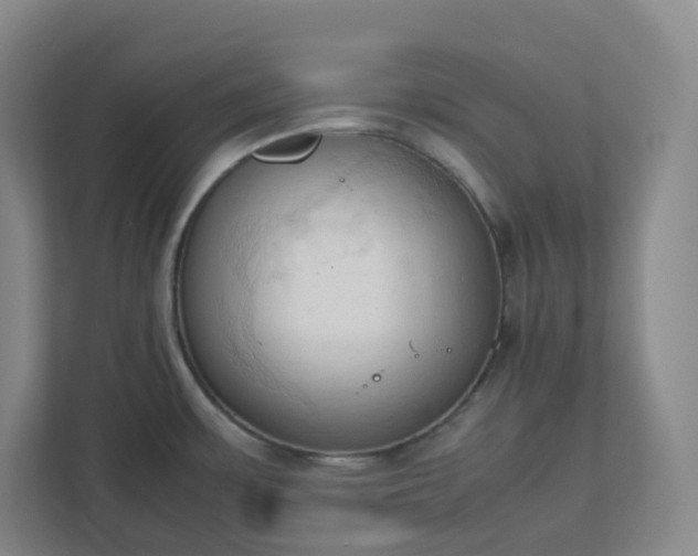 X0000111951483200908031148