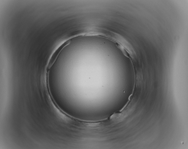 X0000111951484200908031148