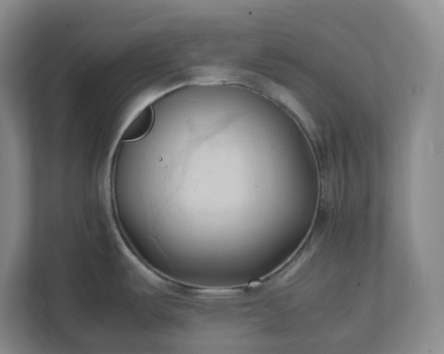 X0000111951487200908031148
