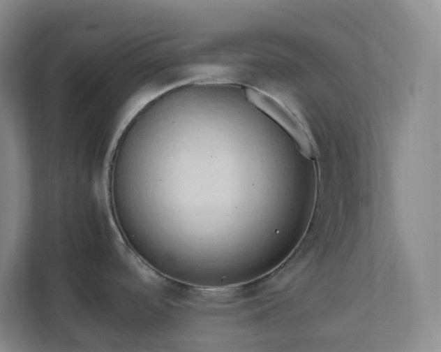 X0000111951488200908031148