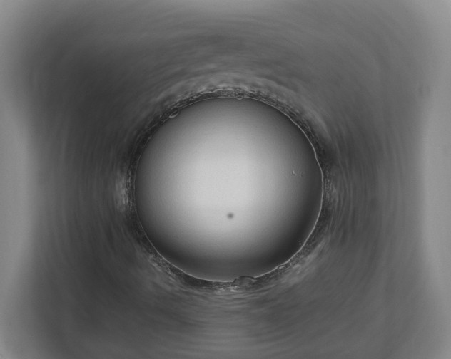 X0000111951490200908031147