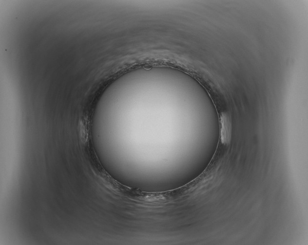 X0000111951491200908031147
