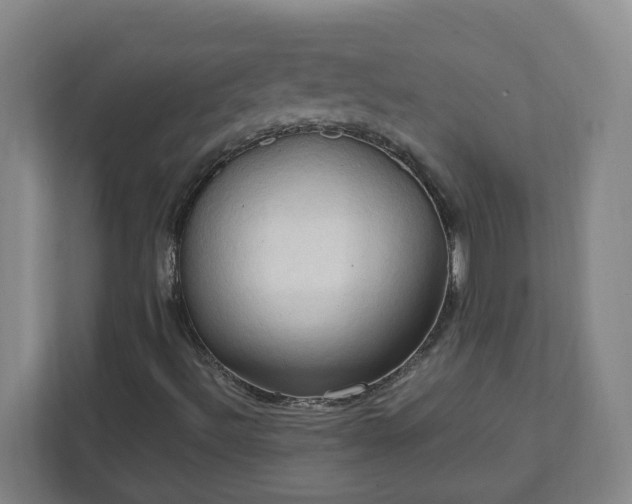 X0000111951492200908031147