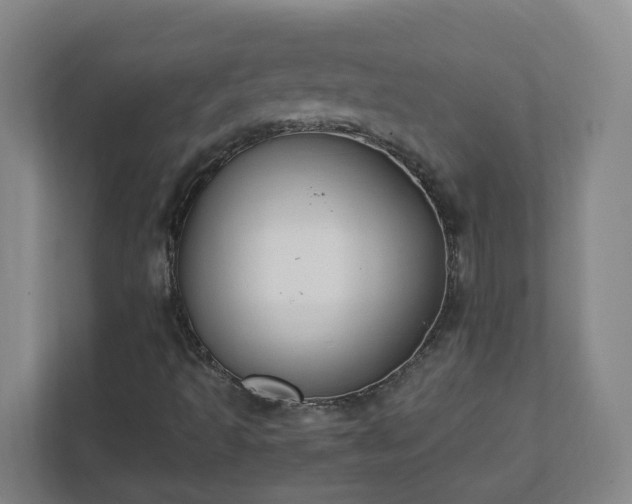 X0000111951493200908031147