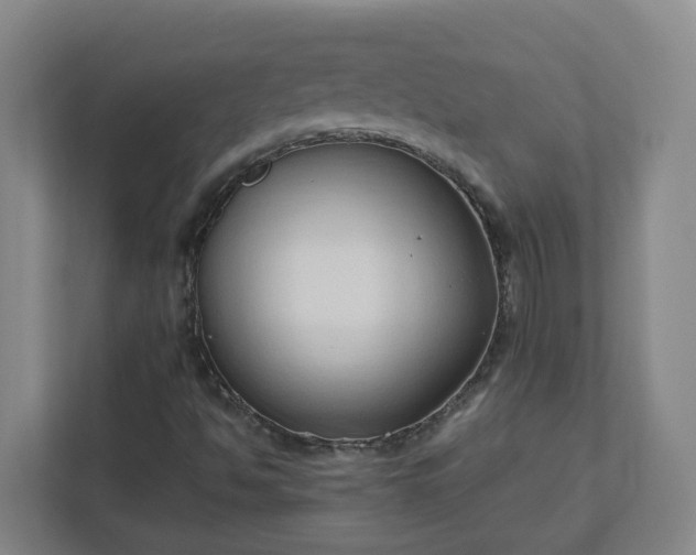 X0000111951494200908031147