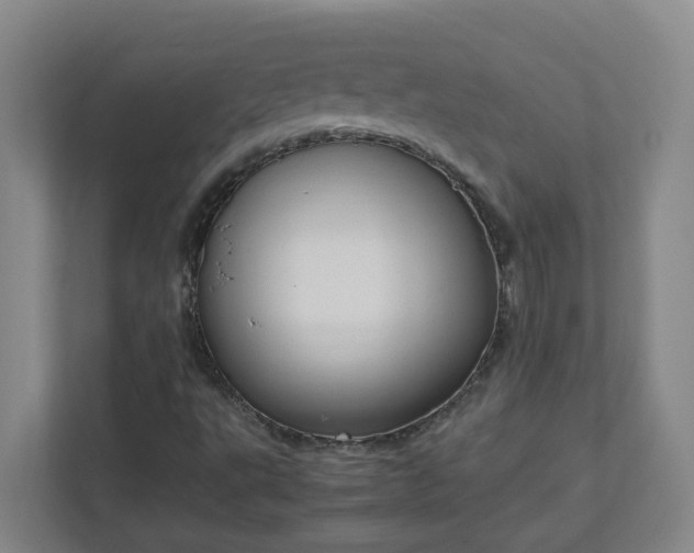 X0000111951495200908031147