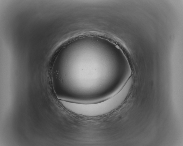 X0000111951496200908031147