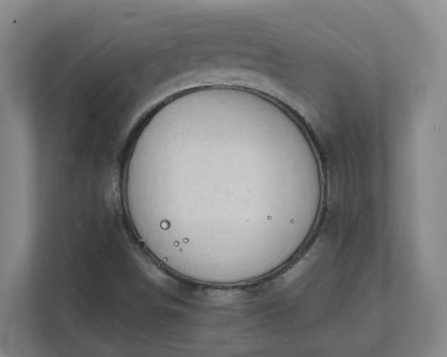 X0000111951498200908031147
