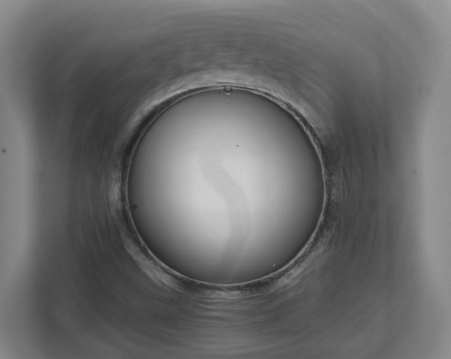 X0000111951499200908031147