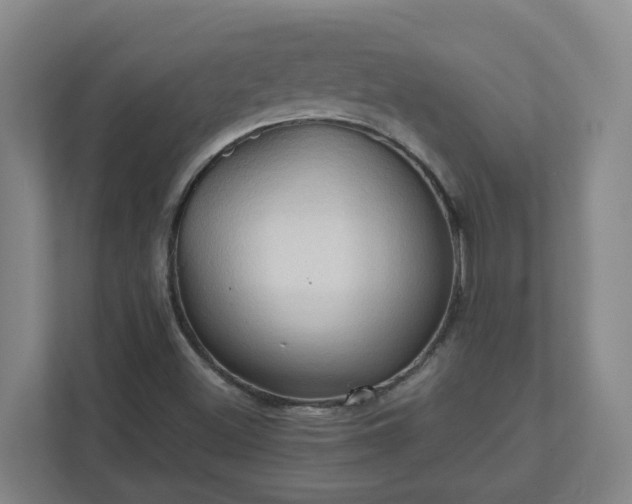 X0000111951500200908031147