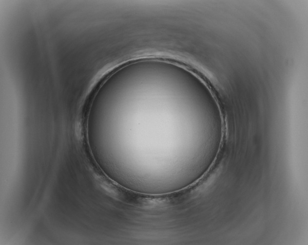X0000111951501200908031147