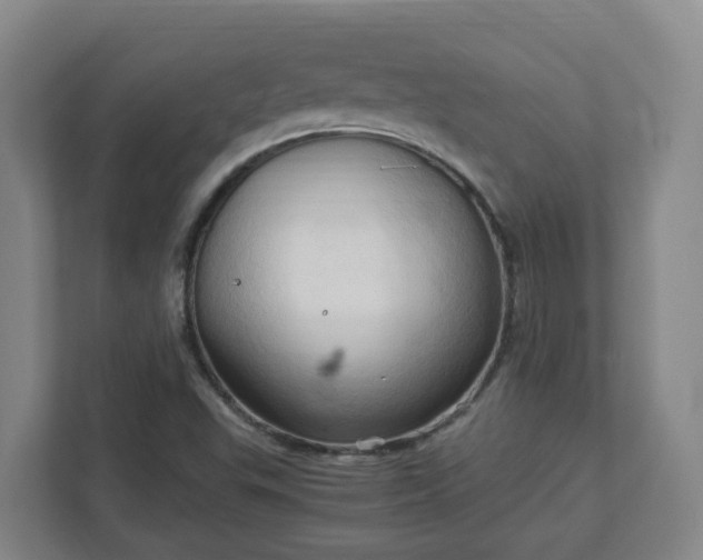 X0000111951503200908031147