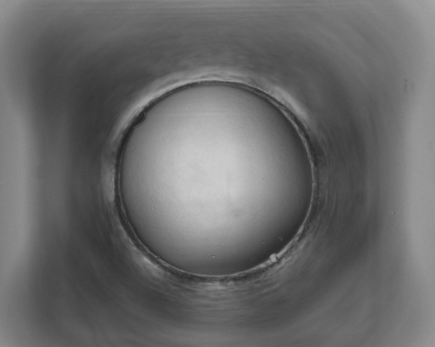 X0000111951504200908031147