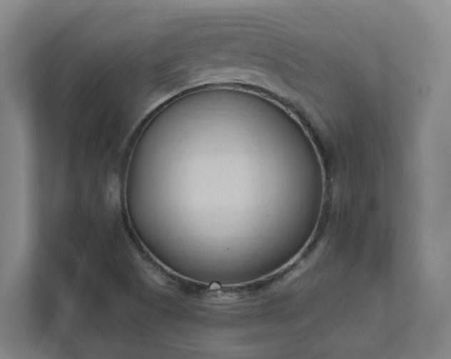 X0000111951505200908031147