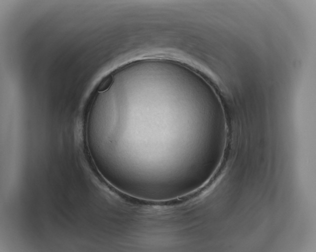 X0000111951506200908031148