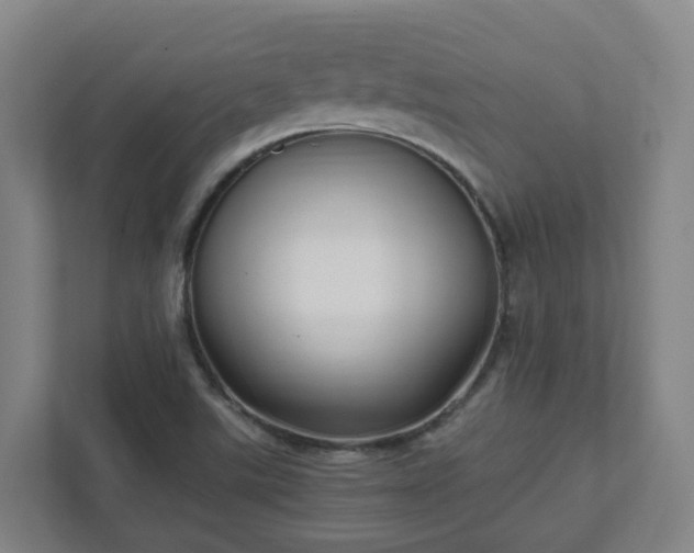 X0000111951507200908031148