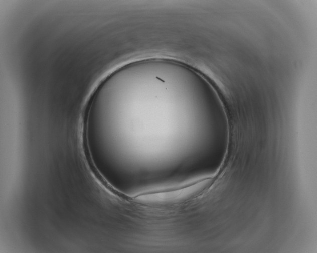 X0000111951508200908031148