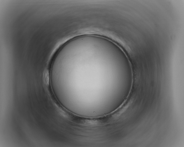 X0000111951509200908031148