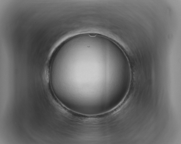 X0000111951510200908031148