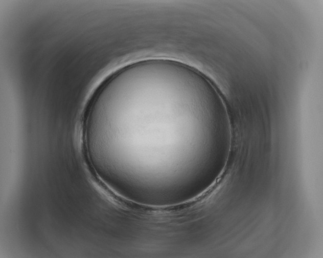 X0000111951511200908031148