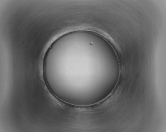 X0000111951512200908031148