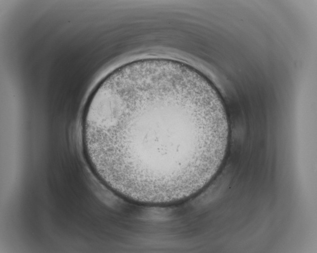 X0000111951514200908031148