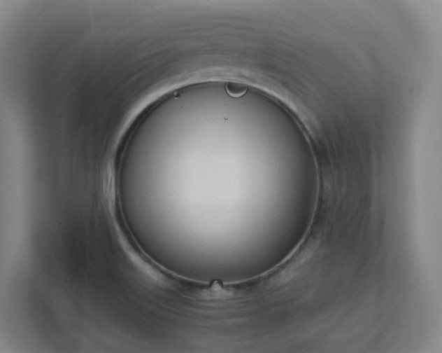 X0000111951515200908031148