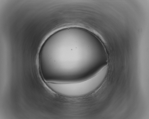X0000111951516200908031148