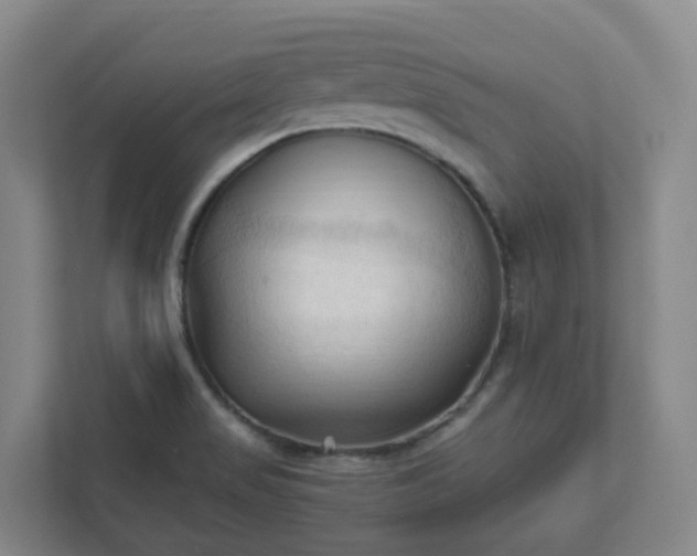 X0000111951517200908031148