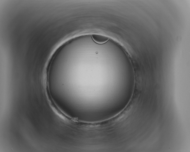 X0000111951519200908031148