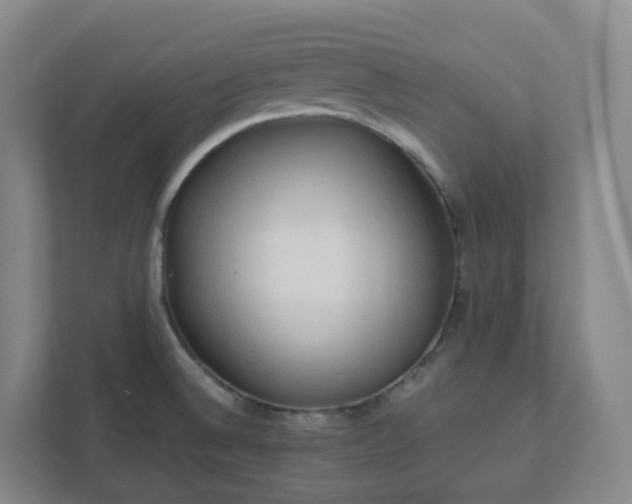 X0000111951524200908031148