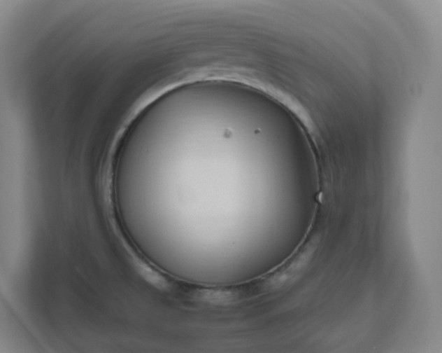 X0000111951525200908031148