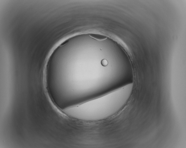 X0000111951528200908031148