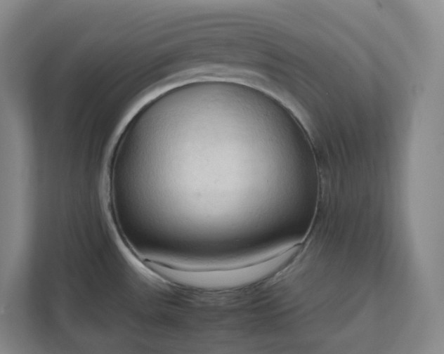 X0000111951531200908031148