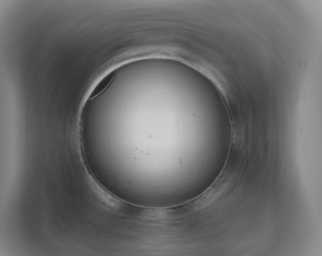 X0000111951532200908031148