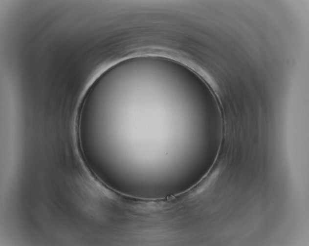 X0000111951533200908031148
