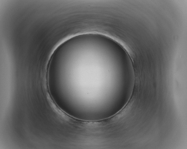X0000111951534200908031148