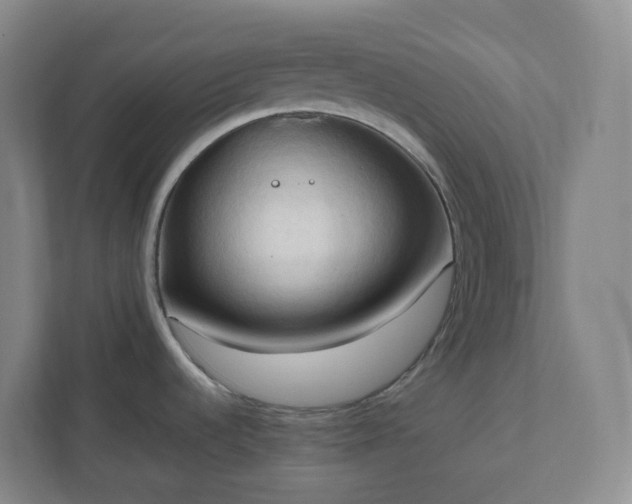 X0000111951536200908031148
