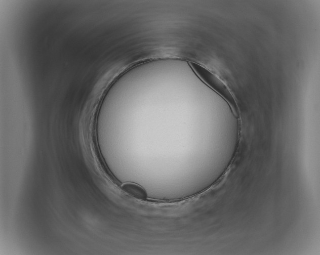 X0000111950001200908101231